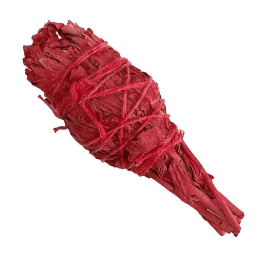 [SAU-DRGT] Sauge Blanche Sang de Dragon Torche 25-30g 12cm